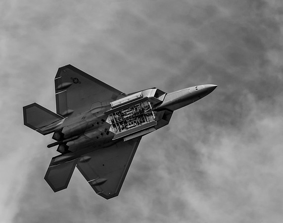 F-22 Raptor