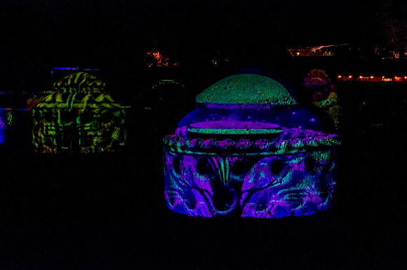 Longwood Gardens Nightscape