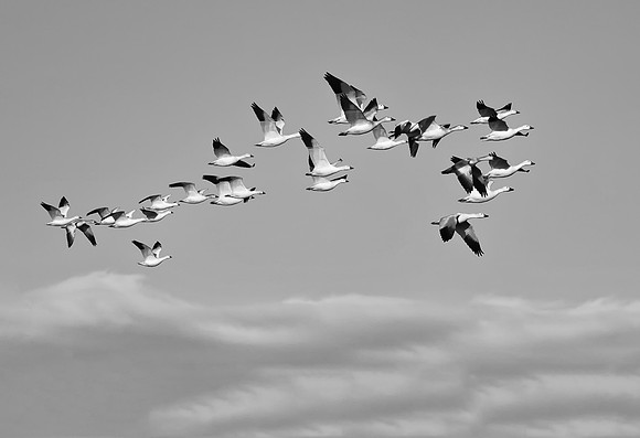 _DSC0889-Edit