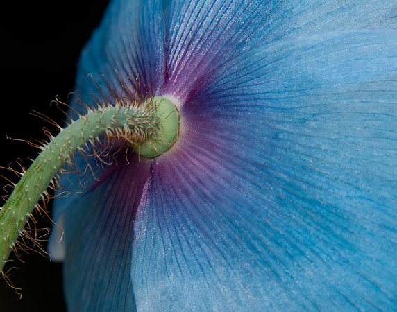 2012 All Rights Reserved