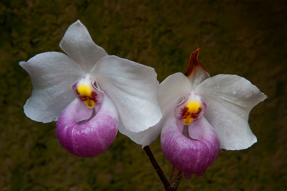 2012 All Rights Reserved