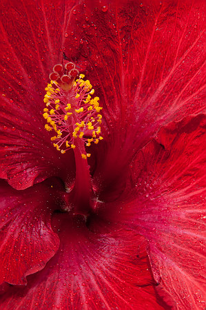 2012 All Rights Reserved