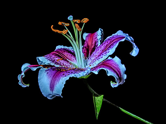 2012 All Rights Reserved