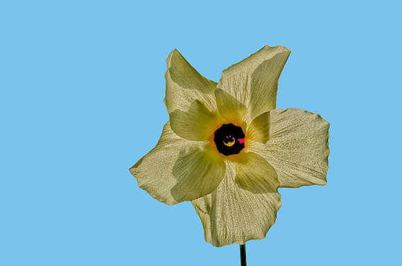 2012 All Rights Reserved