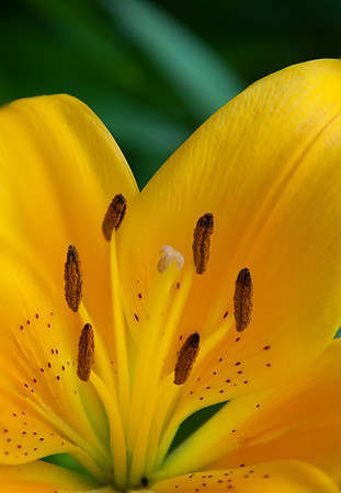 2013 All Rights Reserved