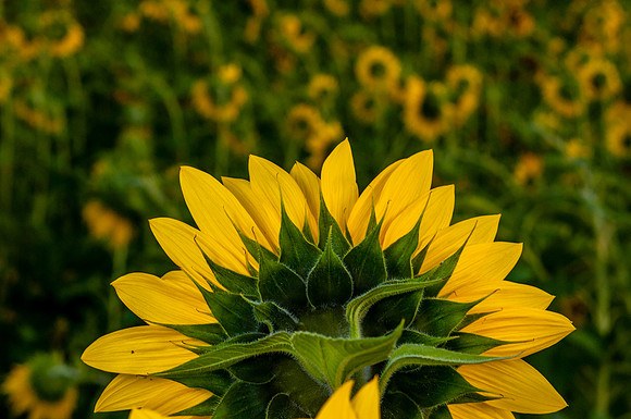 2014 All Rights Reserved