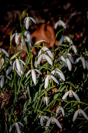 2014 All Rights Reserved