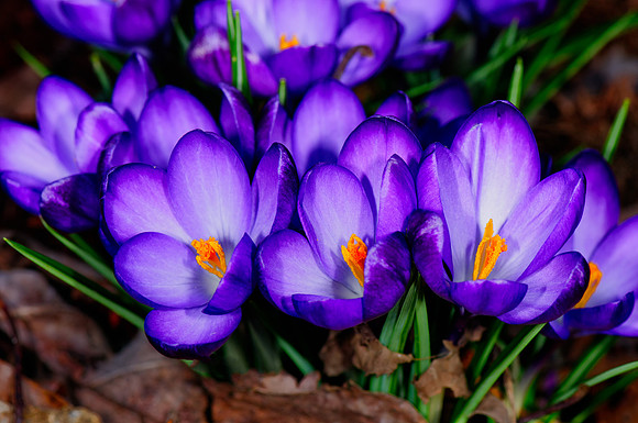 2014 All Rights Reserved