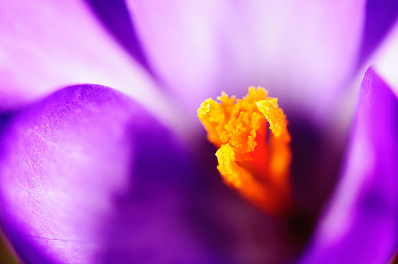 2014 All Rights Reserved