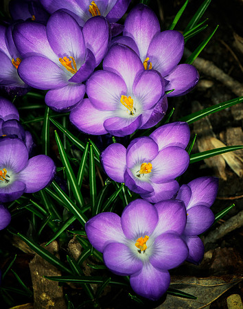 2014 All Rights Reserved