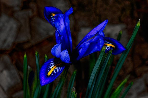 2014 All Rights Reserved