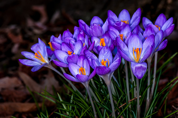 2014 All Rights Reserved