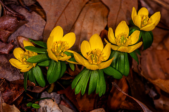 2014 All Rights Reserved