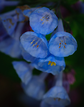 2015 All Rights Reserved
