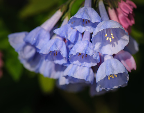 2015 All Rights Reserved