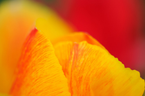 2014 All Rights Reserved