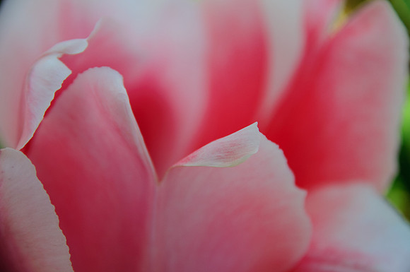 2014 All Rights Reserved