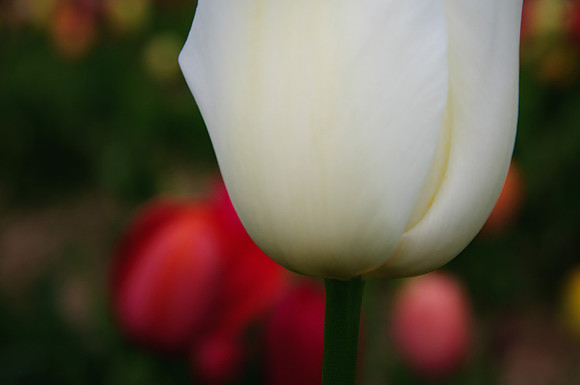 2014 All Rights Reserved