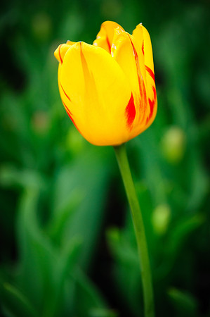 2015 All Rights Reserved