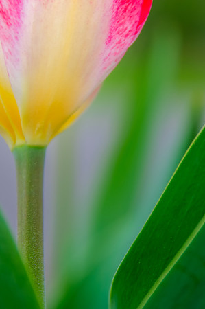 2015 All Rights Reserved