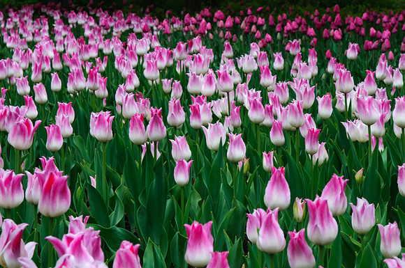 2015 All Rights Reserved