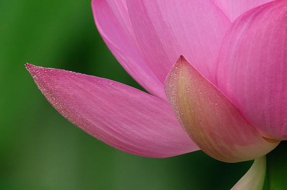 2015 All Rights Reserved
