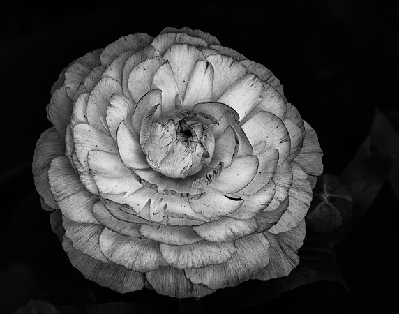 2016 All Rights Reserved
