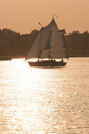 2013 All Rights Reserved