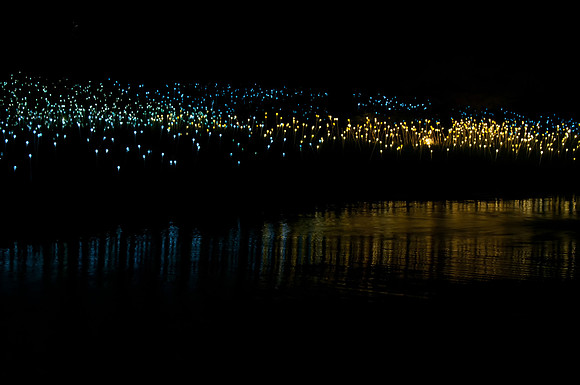 2012 All Rights Reserved