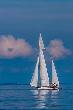 2015 All Rights Reserved