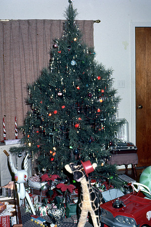 (c) 1966 Berl Thomas, Sr.
